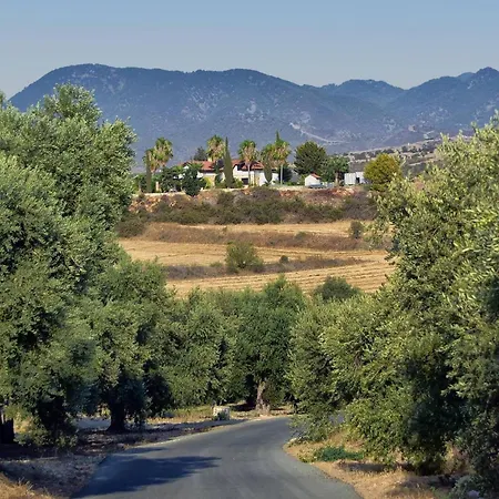 Villa Incredible Large In Paphos Sleeps 14 Children Pool, Jacuzzi, Huge Garden *